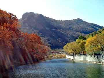 韩国三级理论无码电影在线观看，建水seo建站